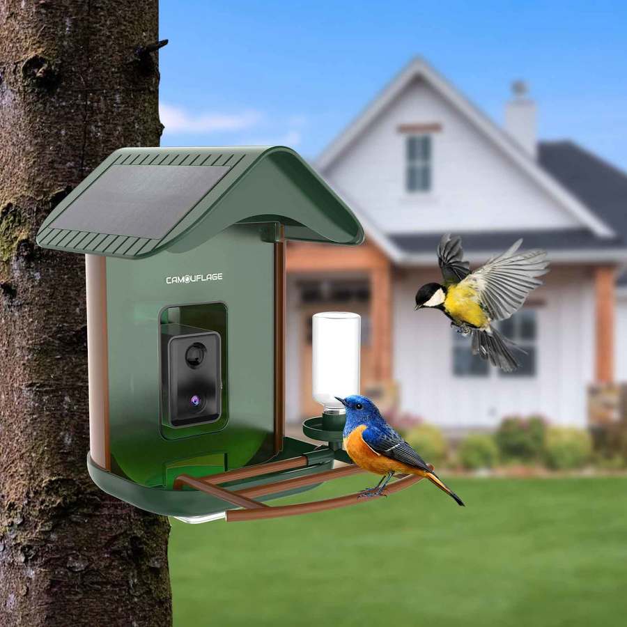 Test de la Mangeoire à Oiseaux Connectée avec Détection des Espèces par IA