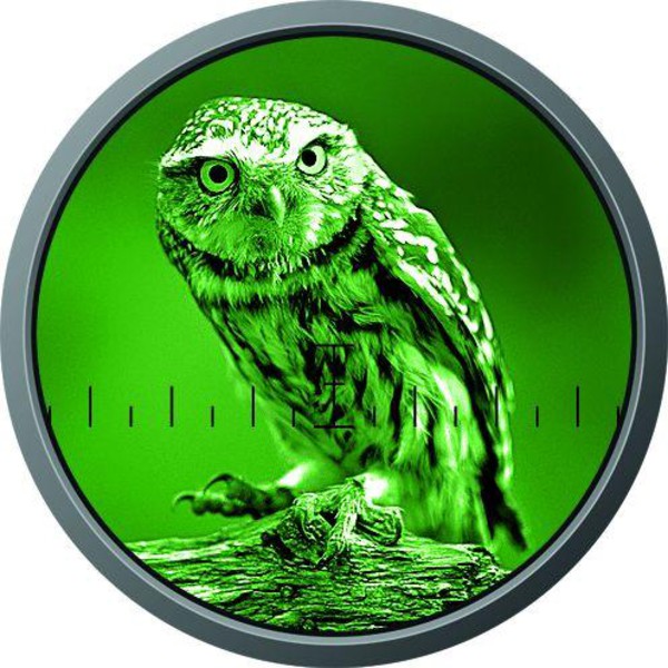 ZEISS Victory nattvisionsmonokular 5.6x62 NV 