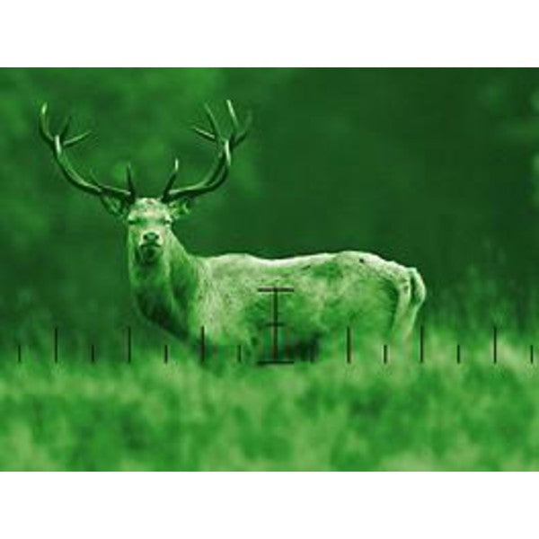 ZEISS Victory nattvisionsmonokular 5.6x62 NV 