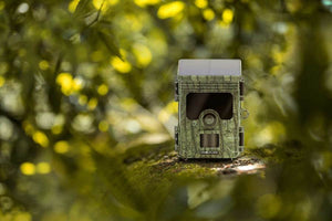 EZ-SOLAR WIFI 4K Camouflage jaktkamera 