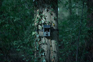 EZ-SOLAR WIFI 4K Camouflage jaktkamera 