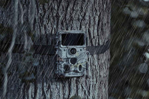 Jaktkamera Camouflage EZ60 Wi-Fi - Sändning till smartphone 