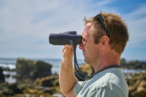 Bushnell A3 8x32 Sky Captain Blue-kikare