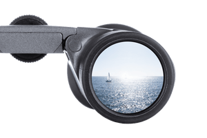 Steiner BluHorizons 10X42 kikare 