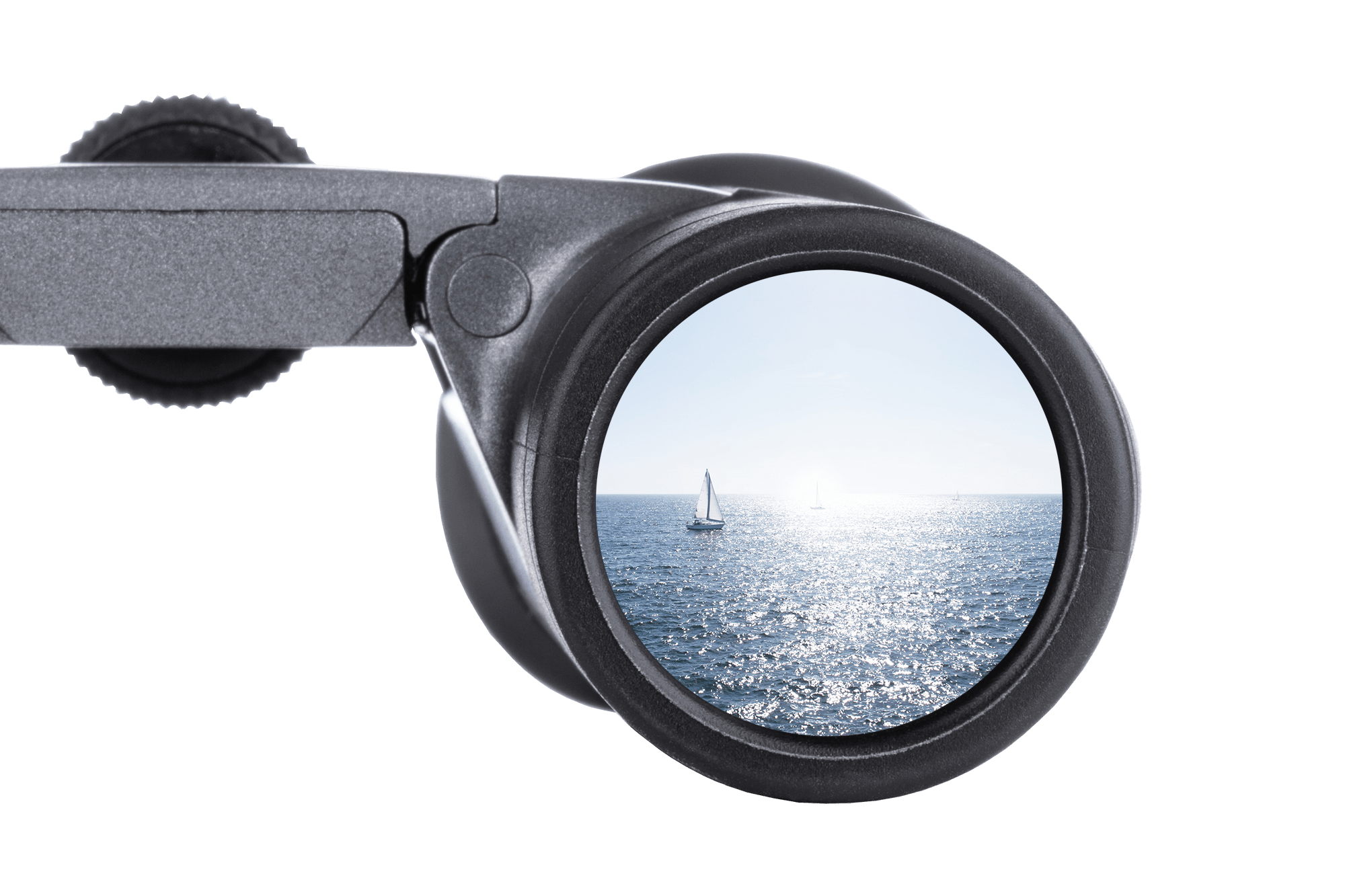 Steiner BluHorizons 8X22 kikare 