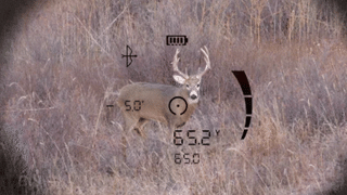 Bushnell FUSION X avståndsmätande kikare 10x42 