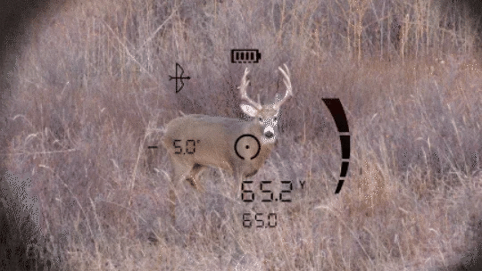 Bushnell FUSION X avståndsmätande kikare 10x42 