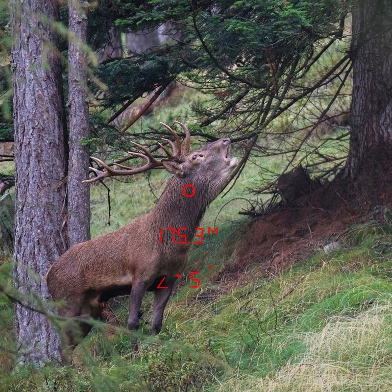 Kikare GPO med avståndsmätare Rangeguide 3200 10x40 