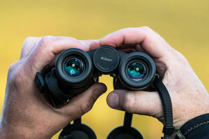 Kikare Nikon Monarch M5 8X42 