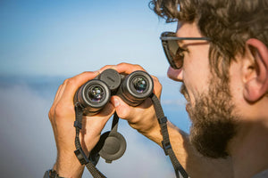 Kikare Nikon Monarch M5 8X42 