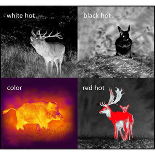 Pard termisk monokulär 25 mm - 12µm 384 x 288px Wifi 