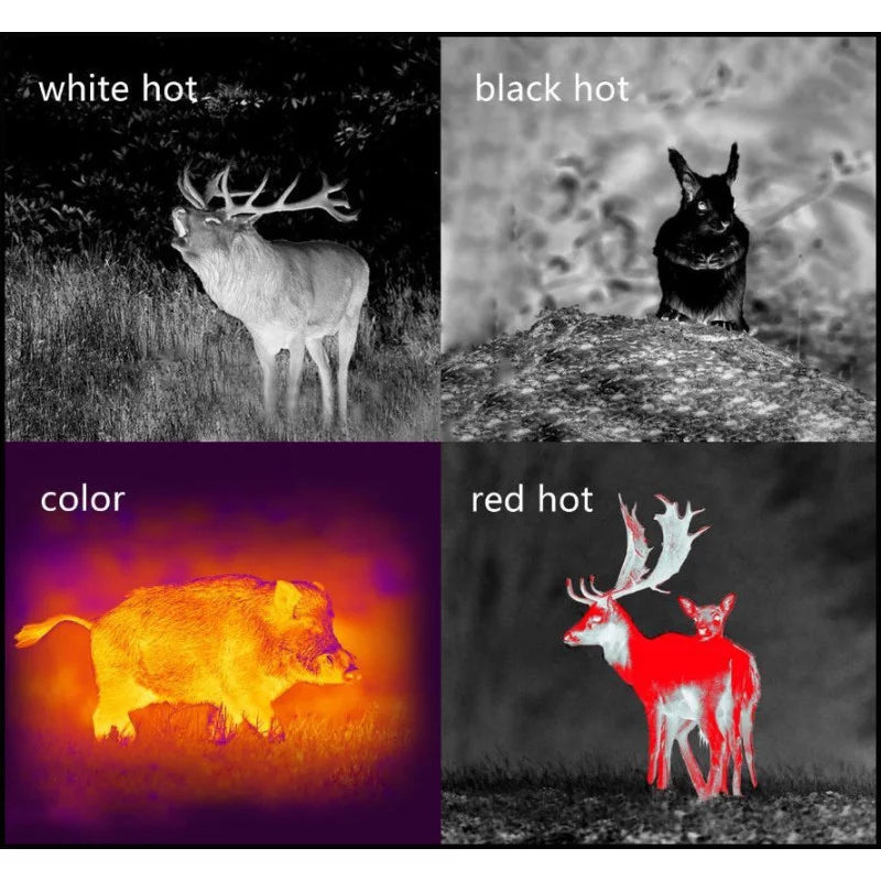 Pard termisk monokulär 25 mm - 12µm 384 x 288px Wifi 