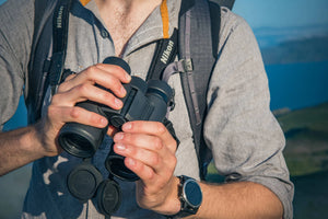 Kikare Nikon Monarch M5 8X42 