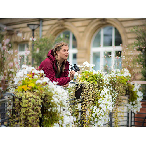 Steiner Safari Ultrasharp 8X25 Miniporro kikare 