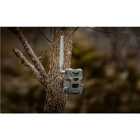 Kamera Spypoint Flex-M 