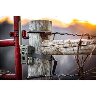 Spypoint Flex-M Twin Pack kamera 