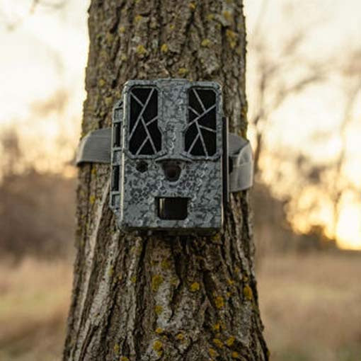 Spypoint Force Pro Dark 4K icke-ansluten viltkamera 