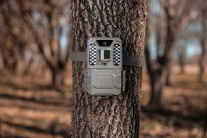 Bushnell Prime 24MP Vit LED viltkamera 