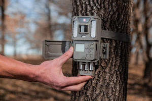Bushnell Prime 24MP Vit LED viltkamera 