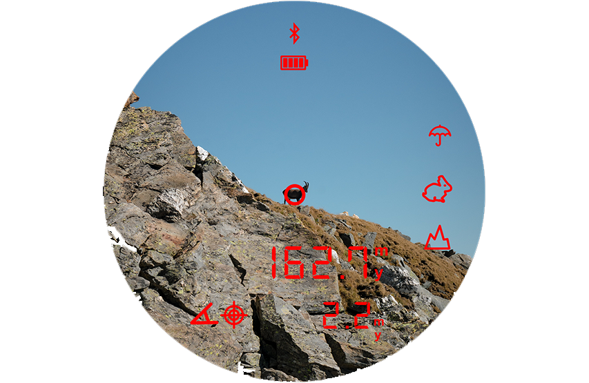 Kikare Steiner eRanger LRF 10x42 med integrerad avståndsmätare 