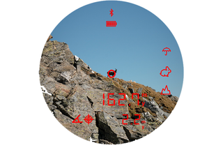 Kikare Steiner eRanger LRF 10x42 med integrerad avståndsmätare 