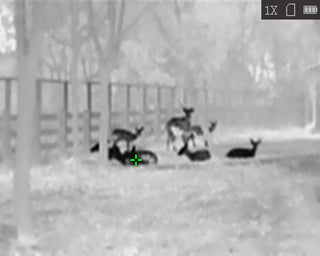 HiKMICRO Lynx LC06 S termisk monokulär med anslutning 