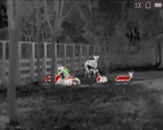 HiKMICRO Lynx LC06 S termisk monokulär med anslutning 