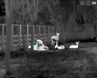 HiKMICRO Lynx LC06 S termisk monokulär med anslutning 