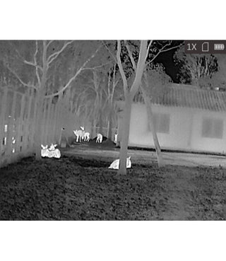 Hikmicro Lynx LH15 Pro 2.0 värmekamera-monokular 