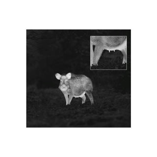 ZEISS DTI 3/35 GEN 2 termisk monokulär 