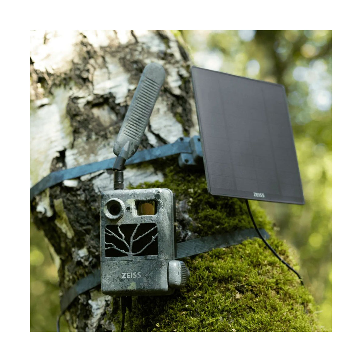 Viltkamera ZEISS Secacam 3-pack solpanel 