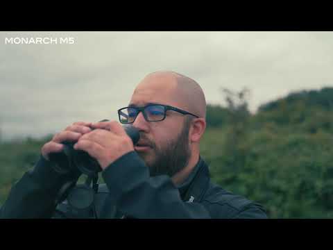 Kikare Nikon Monarch M5 8X42 