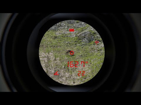 Kikare Steiner eRanger LRF 10x42 med integrerad avståndsmätare 