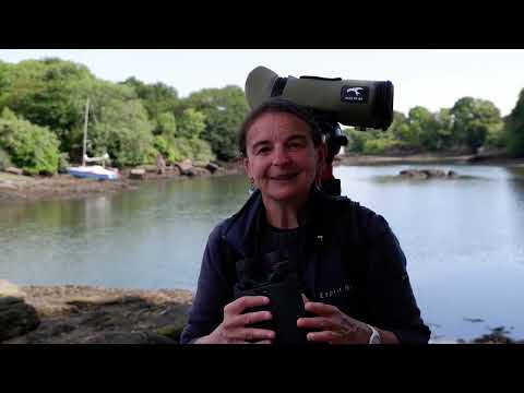 Kite APC 12×42 stabiliserade kikare 