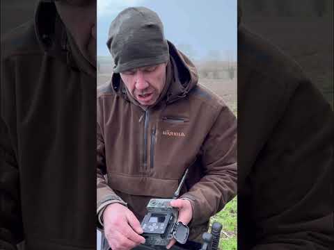 ZEISS Secacam 7 ansluten viltkamera 