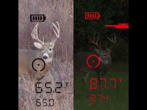 Bushnell FUSION X avståndsmätande kikare 10x42 