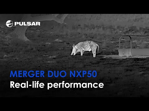 Pulsar Merger DUO NXP50 flerkanaliga kikare med termisk och nattlig syn 
