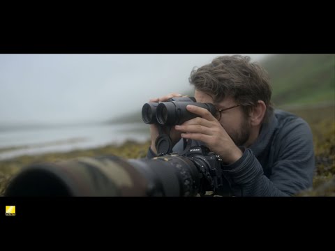 Kikare Nikon Monarch M5 8X42 