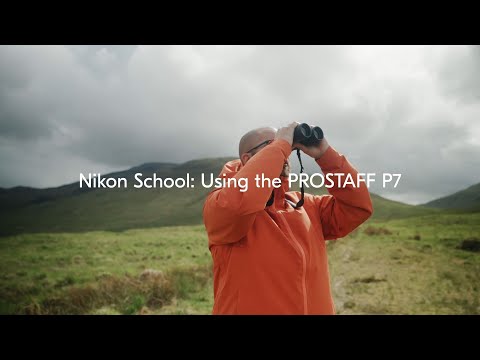 Nikon PROSTAFF P7 10x42 kikare 