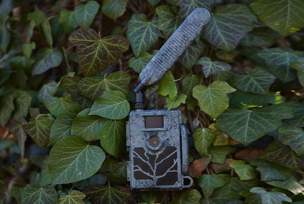 ZEISS Secacam 5 ansluten viltkamera 