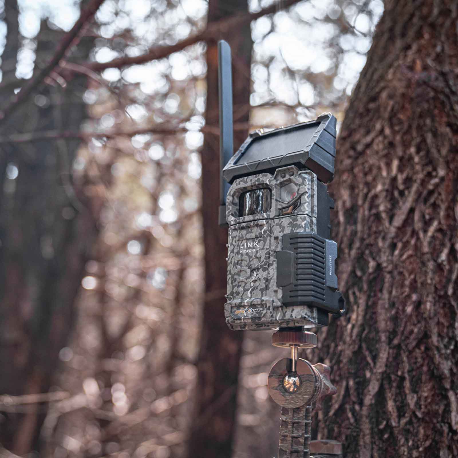 Spypoint FLEX Solcellskamera för foto/video med kommunikation 