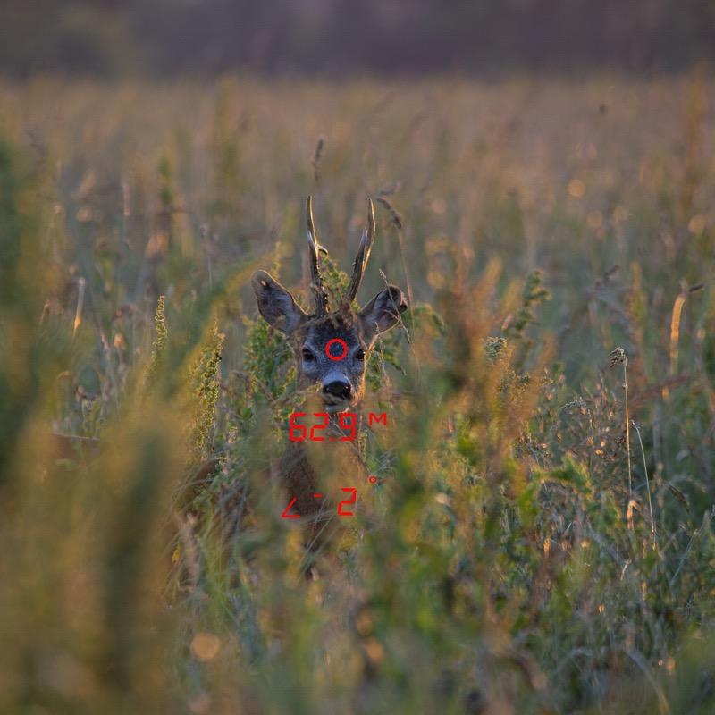 GPO kikare med avståndsmätare Rangeguide 2800 8x32 