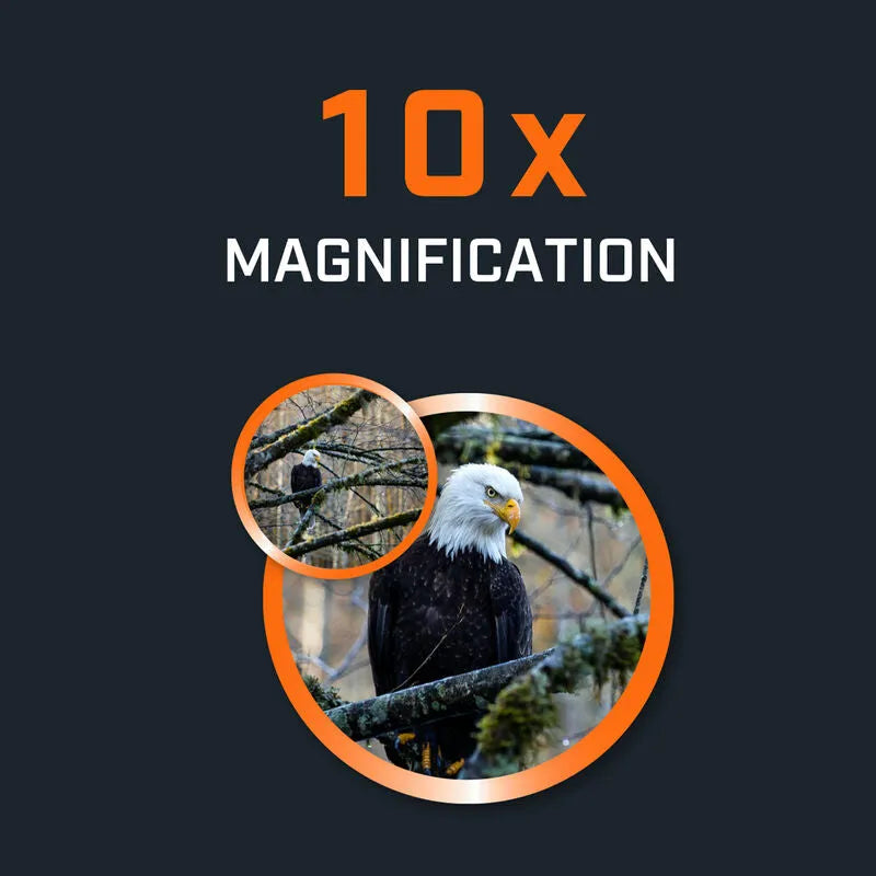 Bushnell H2O 2.0 10x42 kikare 